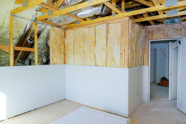 Best Spray Foam Insulation  in Eunice, NM